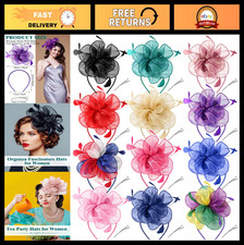 12 Pcs Vintage Fascinator Hats with Veil Feathers for Tea Party, Wedding, Wome