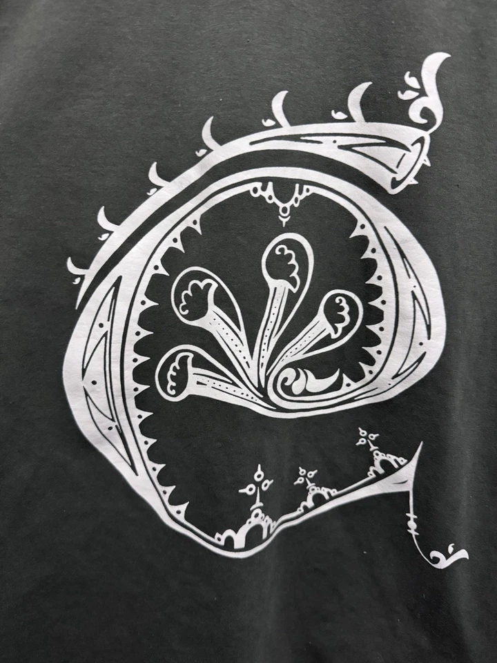 Erehwon Reincarnation Lg Raglan Long Sleeve Green Cream Paisley Hindi Large Used - Image 3 of 4