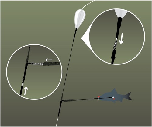 Fox Rage Predator Paternoster Up Trace 40lb/18kg 60cm Deadbait Vorfach DA - Bild 2 von 5