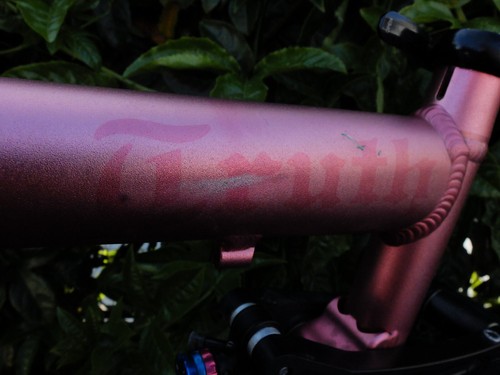 15.5" Ellsworth Truth MTB frame anodized pink w/ Float RP23, Salsa clamp - Picture 18 of 19
