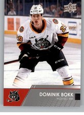 2021-22 Upper Deck AHL Hockey Cards Base Short Prints or Inserts Pick From List