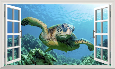 Schildkröte Magie Fenster Wand Selbstklebend Aufkleber Abziehbild Groß Grafik Druck 3D