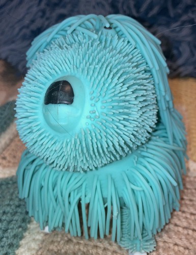 noodle puppy little live pets