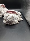 Picture 8 of 22