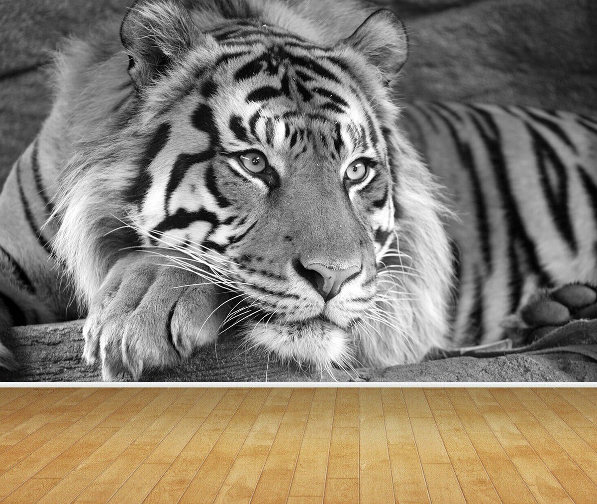 Animal Tiger Theme Photo Wallpaper Multicolor Non-Woven Premium Fleece Wall Mural Large For Bedroom Living Room Decoration Poster, 200 X 140 Cm (WxH