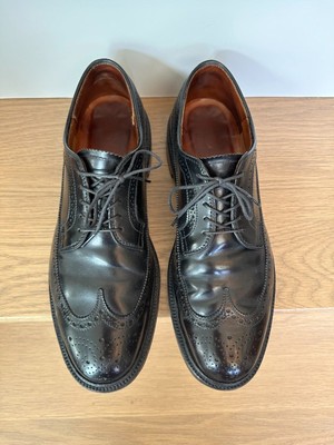 Alden Long Wing Blucher
