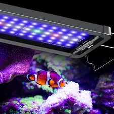 Pawfly 12W Saltwater Aquarium Light for 12" to 18" Fish Tanks Dimmable LED Reef 