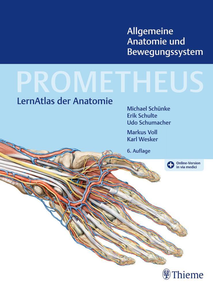 Thumbnail - Prometheus Allgemeine Anatomie Und Bewegungssystem - 9783132444133