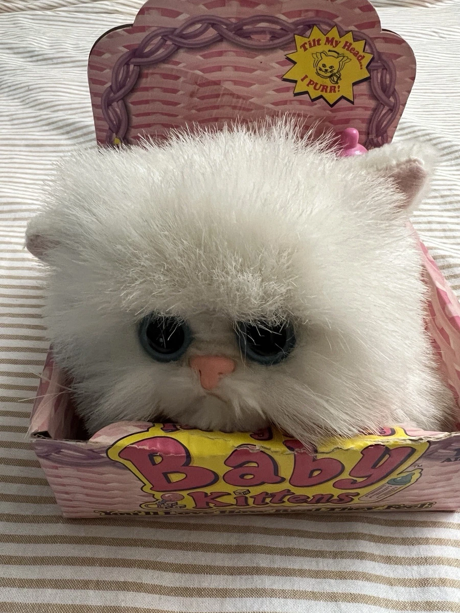 25+ Tyco Kitty Kittens for sale | Updated Oct 2026