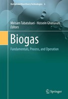 Meisam Tabatabaei (U. A.) | Biogas | Buch | Englisch (2018) | Viii | Springer