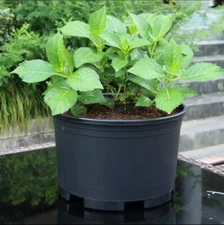 1/2/3/5/7/10/15/20 Gallon Plastic Nursery Pots Garden Plant Flower Pot Shears