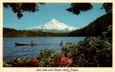 Mount Hood, Lost Lake, Oregon, Anderson Sundry Co., Portland. Postcard