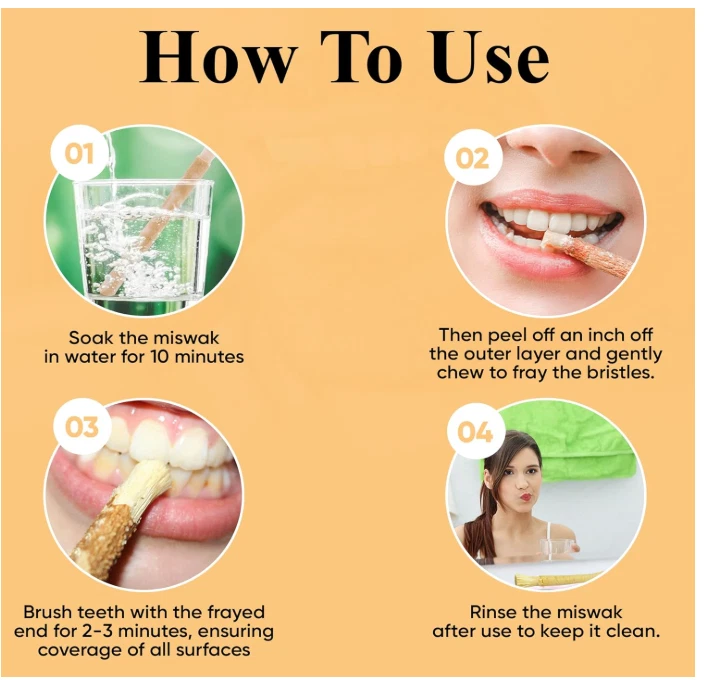 MIMPER Natural Miswak Pilu Pelu Sewak Siwak Arak  Stick 12pcs  Herbal Toothbrush - Image 4 of 4