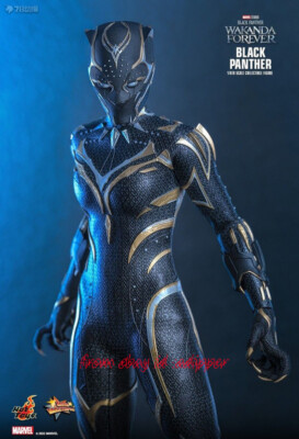 Hot Toys Mms675 Wakanda Forever 1/6 Black Panther Action Figure | eBay