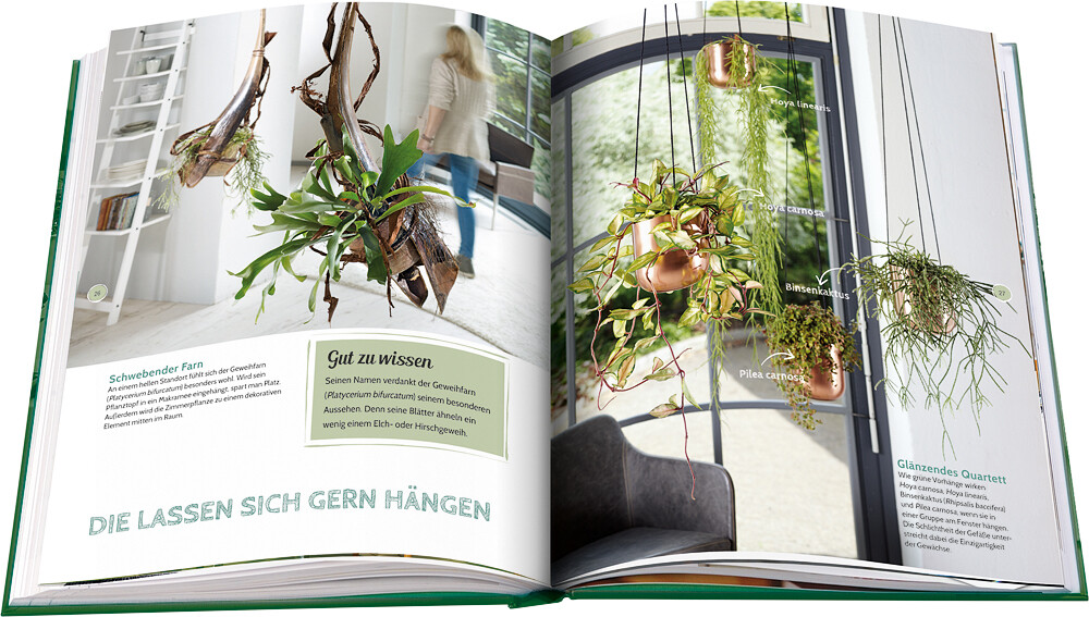 Thumbnail - Pflanzen Ganz Privat Julia Bramhoff