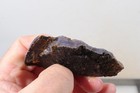 Holley Blue Agate Lapidary 2.6 oz windowed fortification rough lot H1 — photo 6