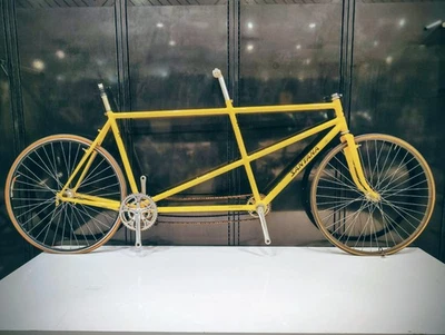 27 in 22 in Frame Vintage Bikes for sale | eBay