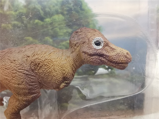 PNSO Small Tyrannosaurus Rex Model Dinosaur Trex Figure Collector Kid Gift Toy | eBay