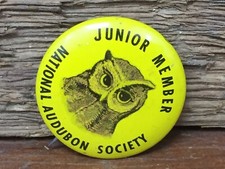 Vintage Junior Member National Audubon Society Owl 1" Litho Pinback Made in USA