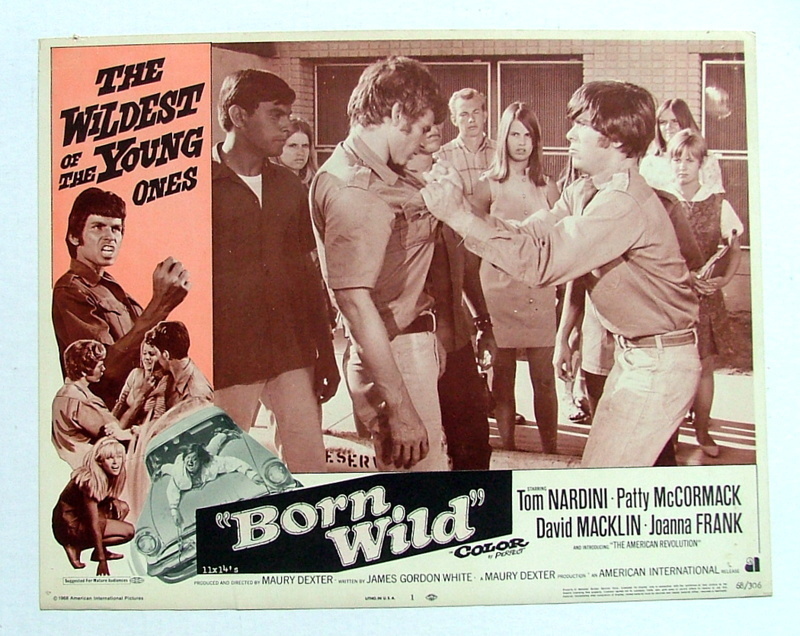 VINTAGE 1968 ORIGINAL BORN WILD LOBBY POSTER CARD NO 1 McCORMACK