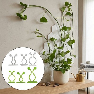 50 Stück Pflanze Kletterwand Clips Kunststoff für sichere vertikale Rebenanord