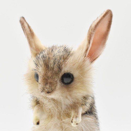 Hansa Jerboa Mouse Realistic Plush Doll BH7497 7.5in Life size Gift NEW - Picture 5 of 8