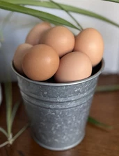 12 Empty Real Chicken Egg Shell, Brown - Hand Blown - Psanky, Psanka - Crafts