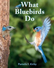 What Bluebirds Do - Paperback By Kirby, Pamela F - GOOD