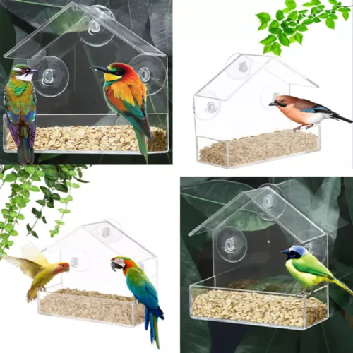 Clear Window Bird Feeder with Strong Suction Cups Wild Bird Feeder Bird Watching - Picture 5 of 15