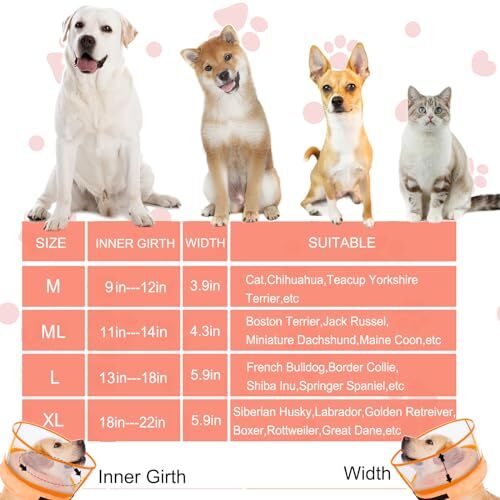Inflatable Dog Cone Collar for Large Small Dogs, Soft Dog Donut Medium
