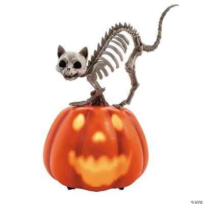 Halloween Animated Pumpkin with Skeleton Cat Tabletop Halloween Decoration