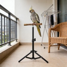 Interaction Training Perch Adjustable Height Multifunctional Bird Tra NEW