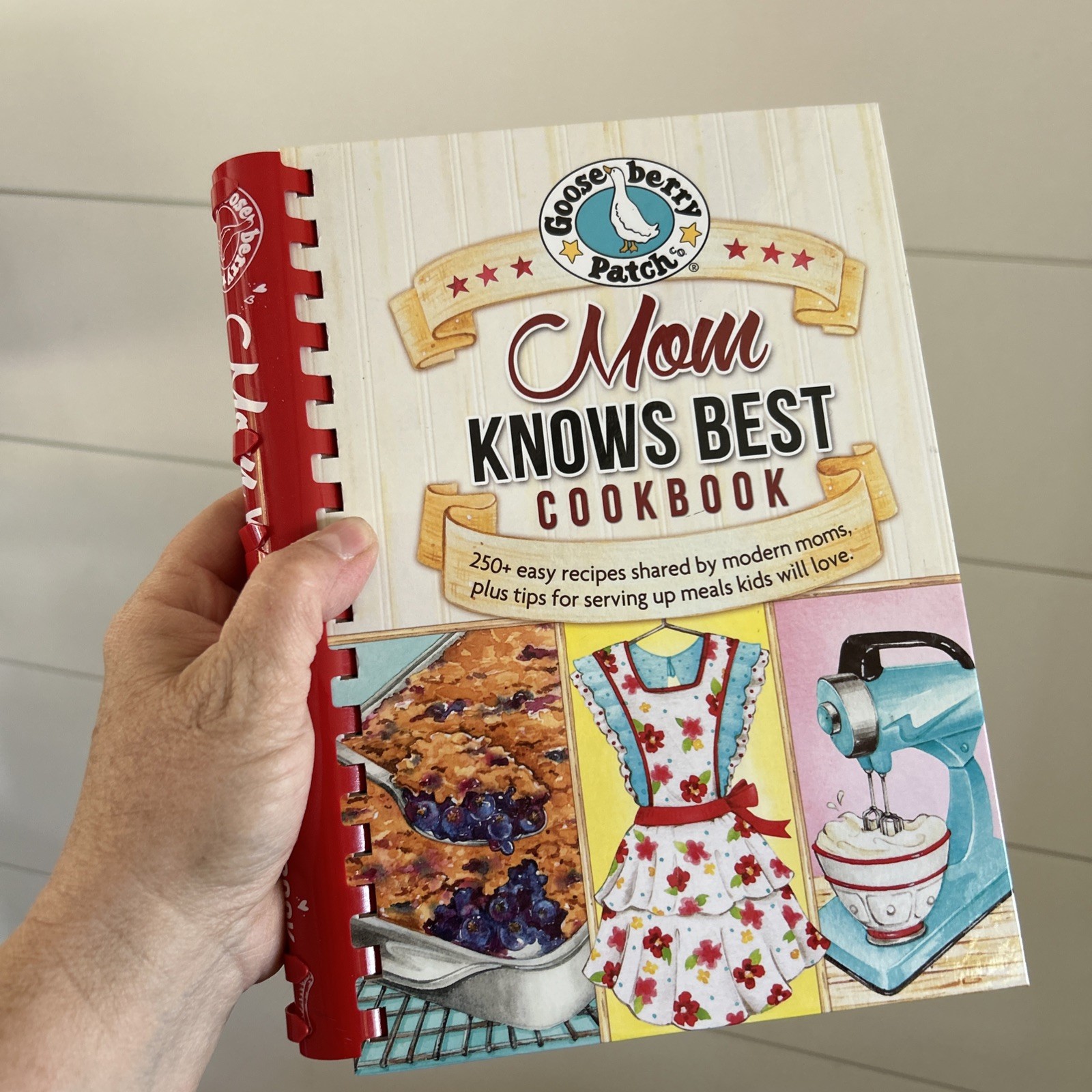 Mom Knows Best Cookbook (Everyday Cookbook Collection) - Hardcover - GOOD