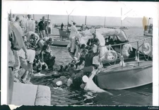 1959 Milwaukee Yacht Club Uss Macon Lake Michigan Rescue Wire 7X9 Vintage Photo