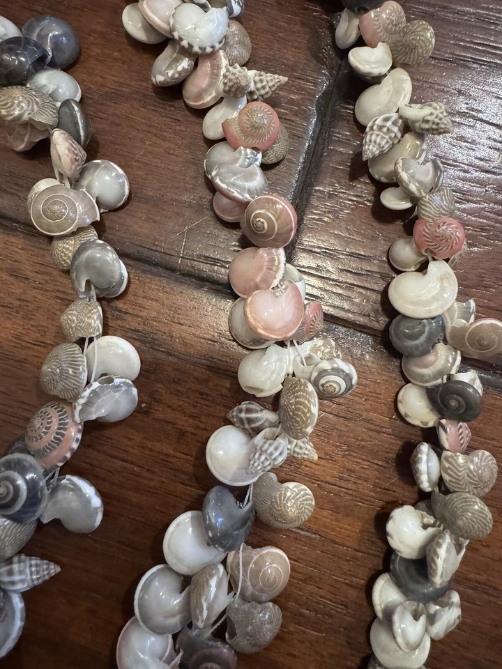 7Ft. Extra Long String of Button Snail Shells-Shell Necklace-Shell ...
