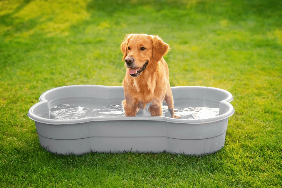 DogsLand Hundepool in Knochenform - 120 cm, grau, für große und kleine Hunde, bi - Bild 2 von 4