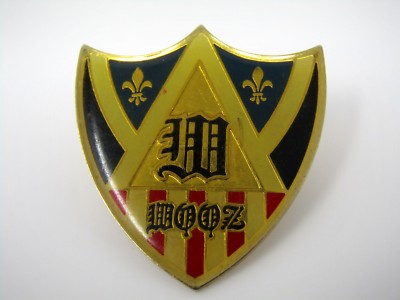 Vintage W WOOZ Shield Crest Enamel Pin Gold Tone Fleur de Lis Gothic Letters