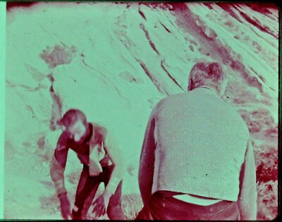 Star Trek TOS 35mm Film Clip Slide Shore Leave Kirk Finnegan Bruce Mars ...