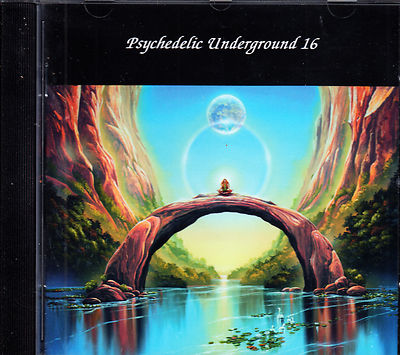 V/A psychedelic underground 16 Garden of Delights CD NEU