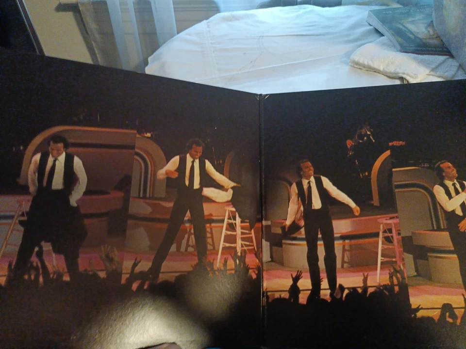 Julio Iglesias: En Concerto (2 LP Set, Gate Fold, 1983 ) Vinyl Records  Foto 4 de 4