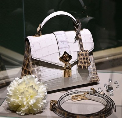 Louis Vuitton Rose Des Vents Mini Himalaya Krokodilleder -ungetragen- mit CITES