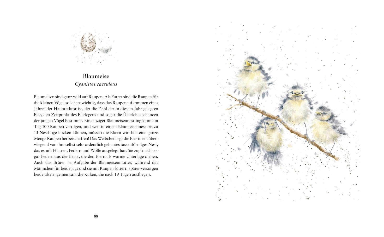 Thumbnail - Flügge - Die Ersten Tage Kleiner Tierkinder Hannah Dale Buch 128 S.
