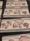 Vintage 1980 Hand Painted Wall Tiles 6x2 3/4" Set of 12 Mushroom Italian Ceramic — photo 1