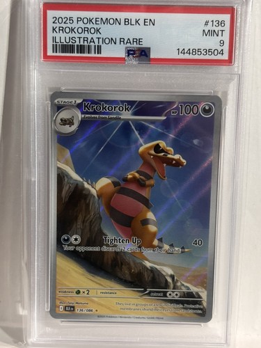 Krokorok graded PSA 9 for sale on eBay