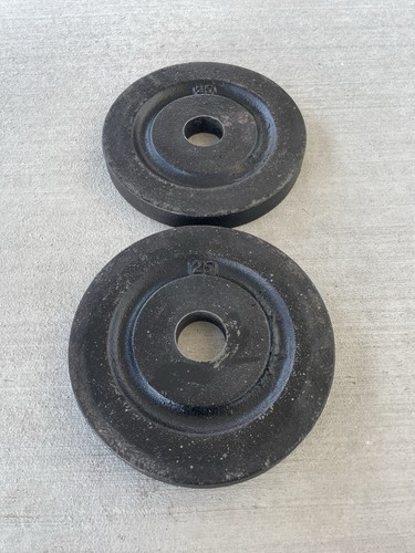 Paramount? Vintage Olympic 2” 25 Lb Weight Plates 2x25Lb Total 50 Lbs RARE