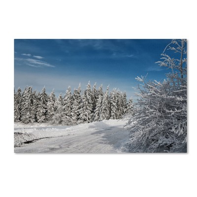 Snowy Country Lane Artwork by Lois Bryan, 22 by 32-Inch