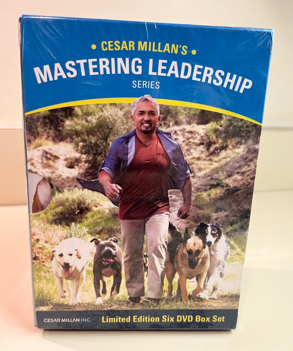 Cesar Millan Stop Dog Barking Training Cesar Millan Dog Barking At