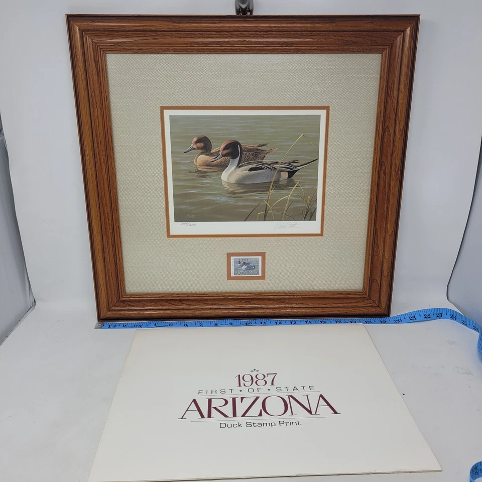 1987 Arizona Waterfowl Duck Stamp Print First of State Lim Edit Hand Signed - Image 2 of 4