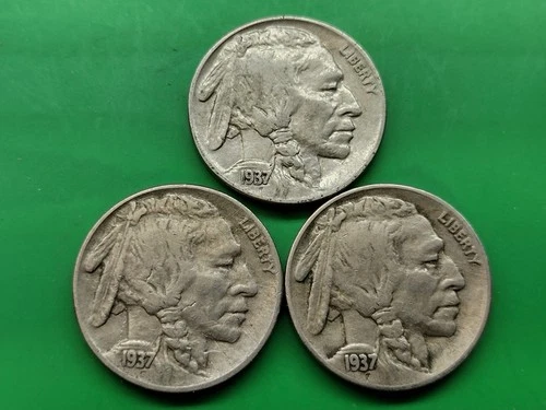 1937 PDS Full Horn Buffalo Nickel Set. Actual Coins. Lot 3