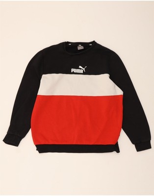 Puma Herren Grafik Sweatshirt Pullover Large schwarz Colourblock Baumwolle BX11